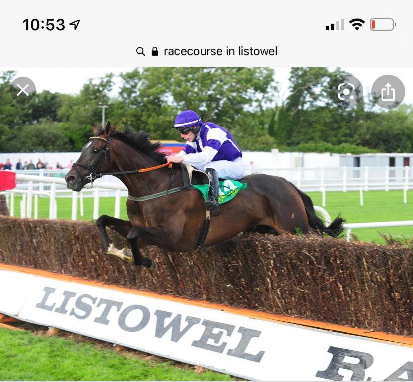 Racecourse View Hotel Listowel Exterior photo